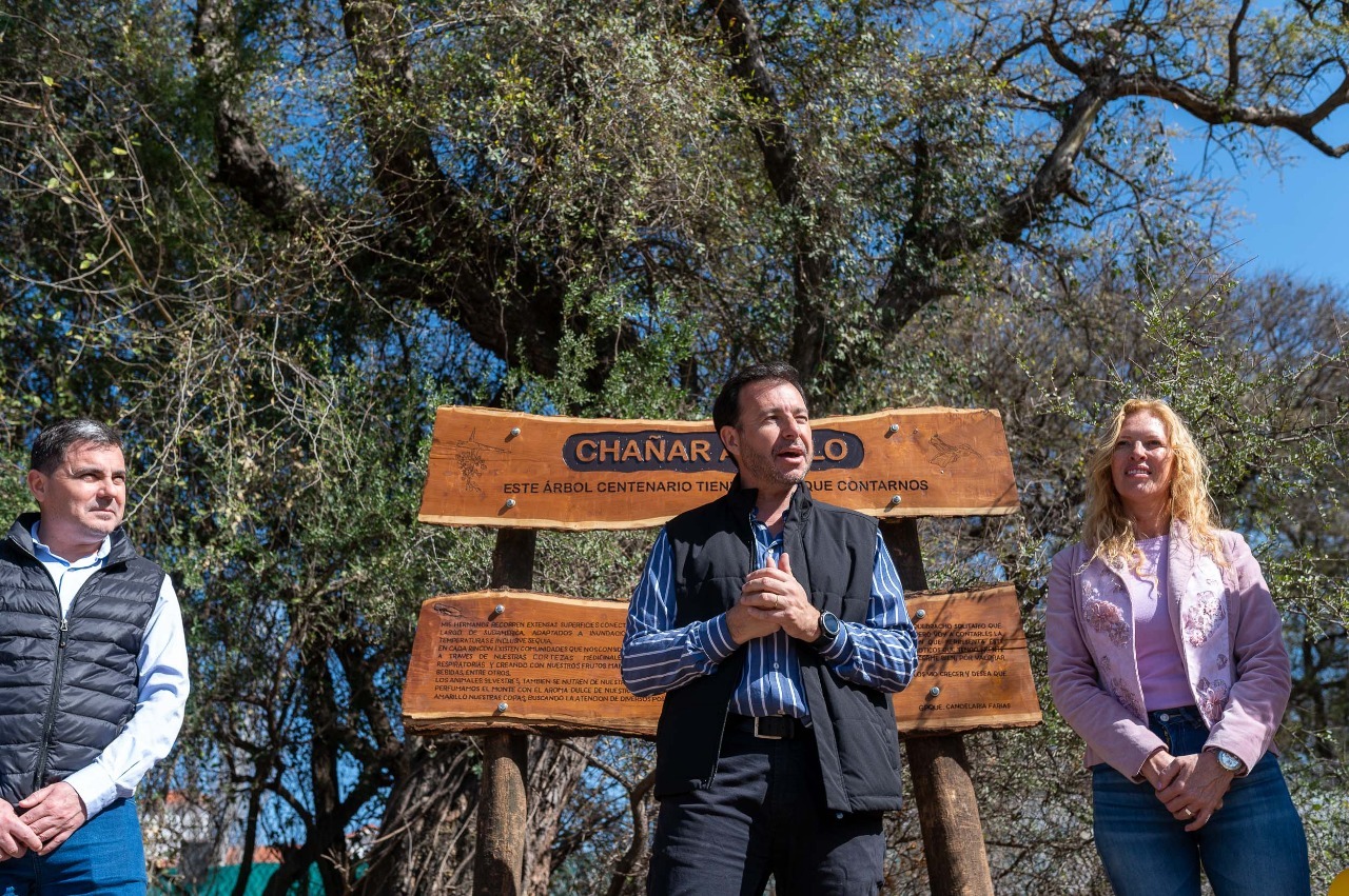 El Cha Ar Abuelo De La Reserva San Mart N Se Incorpora Al Patrimonio