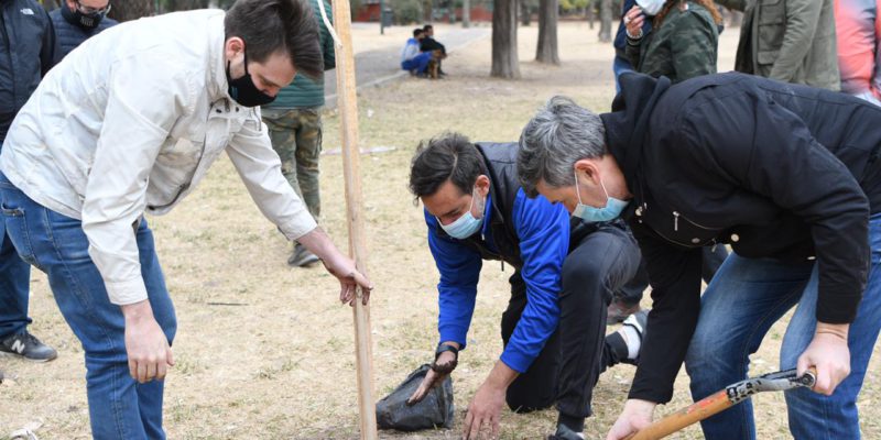 Día Del árbol: La Municipalidad De Córdoba Plantó 4 Mil Ejemplares