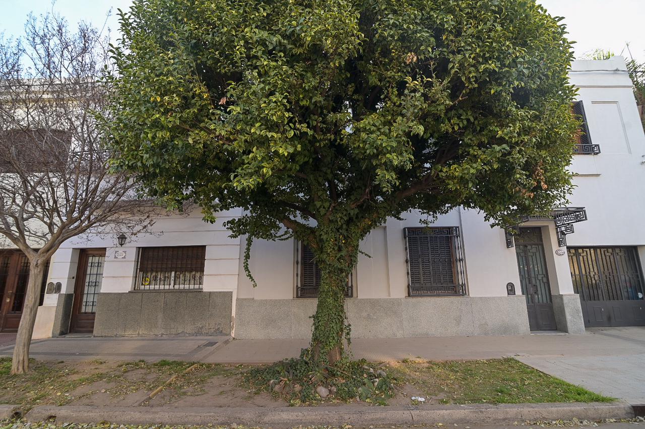 El Municipio recuerda la normativa sobre la poda y extracción de árboles en  vereda > Municipalidad de Córdoba” style=”width:100%”><figcaption style=