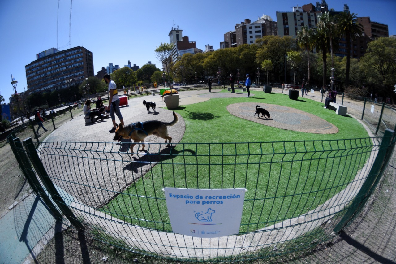 Con juegos, los perros se “divierten” en el primer canil de la ciudad <  Municipalidad de Córdoba