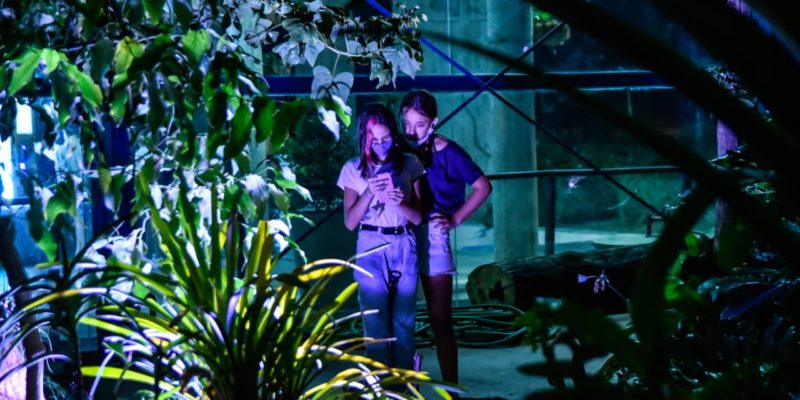 Más De 500 Personas Disfrutaron De La Caminata Nocturna En El Jardín Botánico