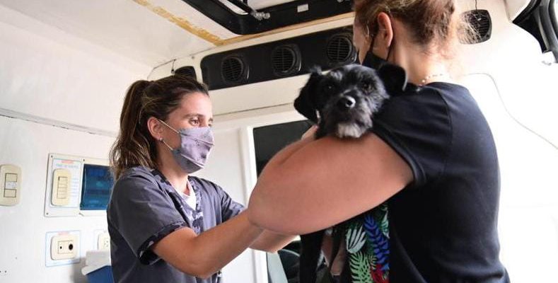 El Móvil De Vacunación Para Mascotas Continúa Recorriendo La Ciudad