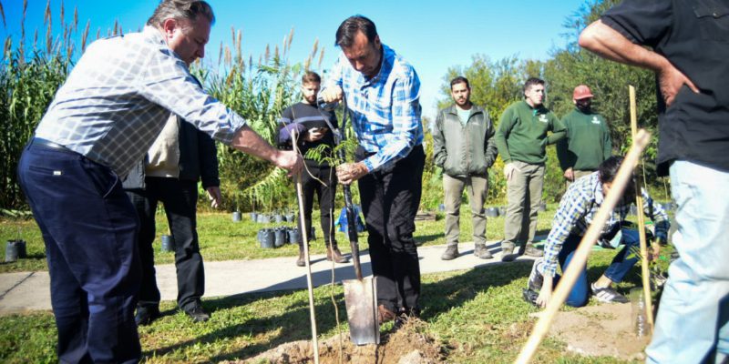 En El Día De La Tierra, La Municipalidad Y Los Vecinos Plantaron Más De 400 árboles