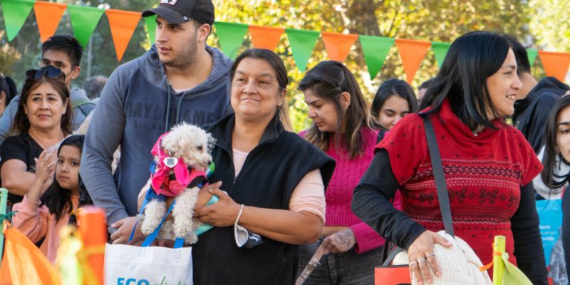 Día Del Animal: Más De 400 Trámites Y Consultas Sobre Adopciones Y Tenencia Responsable En La Plaza De La Intendencia