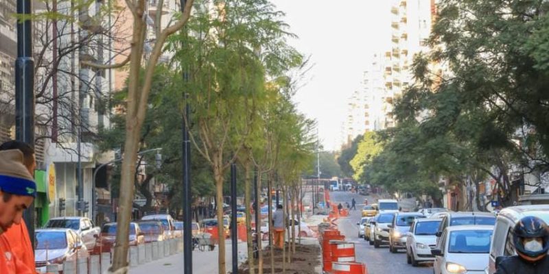 Cantero Central Chacabuco-Maipú: La Ciudad Gana Un Nuevo Pulmón Verde Con La Plantación De 150 árboles Y 4 Mil Arbustivas