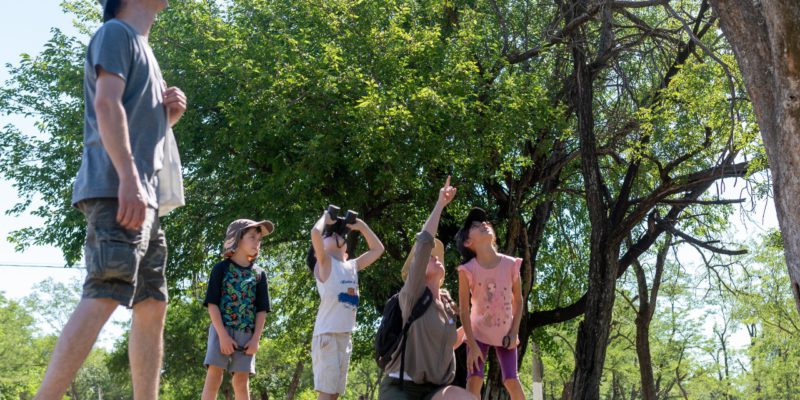 Este Domingo, La Reserva Urbana San Martín Invita A Compartir Una Caminata De Conexión Con La Naturaleza