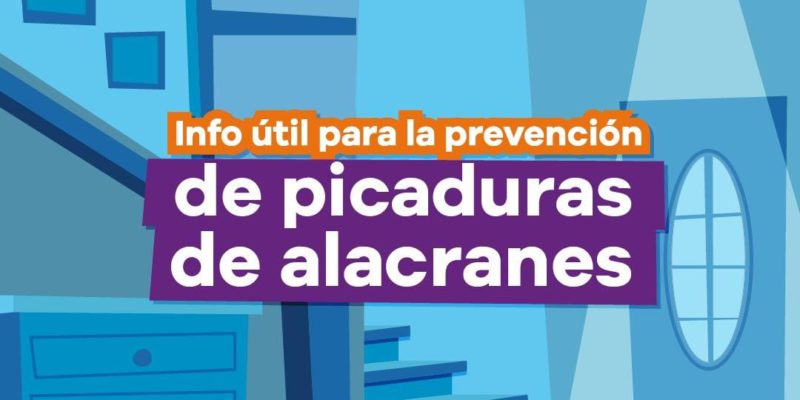 Verano 2023: Cómo Prevenir Y Actuar Ante La Picadura De Alacranes Y Demás Animales Ponzoñosos