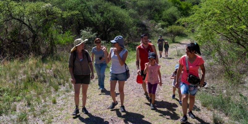 Caminata Gratuita De Recolección De Semillas Nativas En La Reserva Natural San Martín