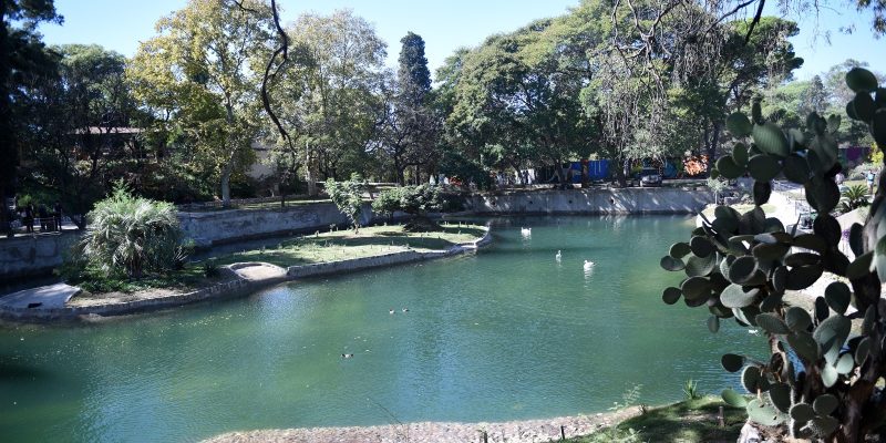 La Laguna Del Parque De La Biodiversidad Se Convierte En Refugio De La Fauna En La Ciudad
