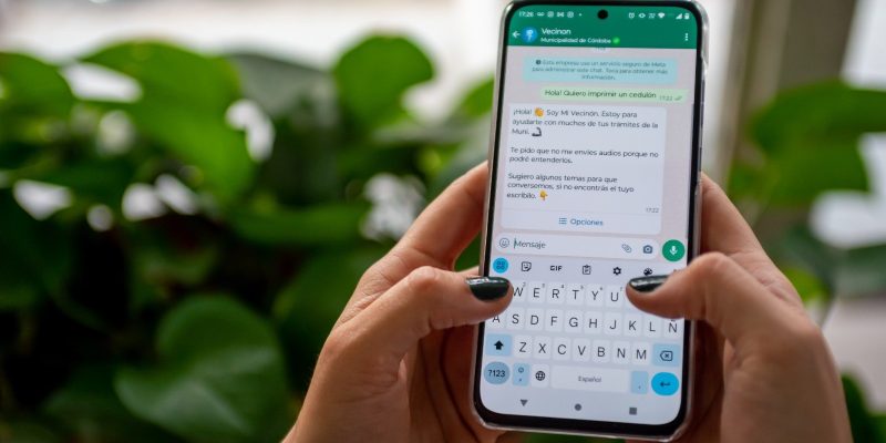 Dónde Voto: El Whatsapp De La Municipalidad De Córdoba Agregó Un Nuevo Servicio Para Consultar El Padrón Electoral