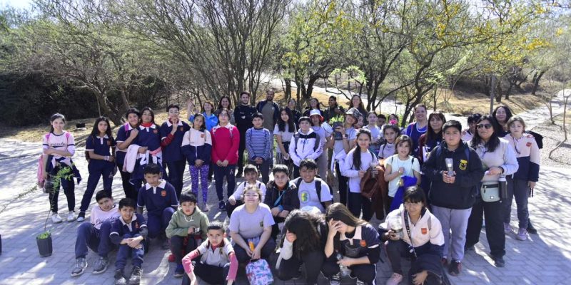 Semana Del Árbol: Niños Hicieron Una Visita Guiada Por El Jardín Botánico, La ULA Y El Nuevo Mirador