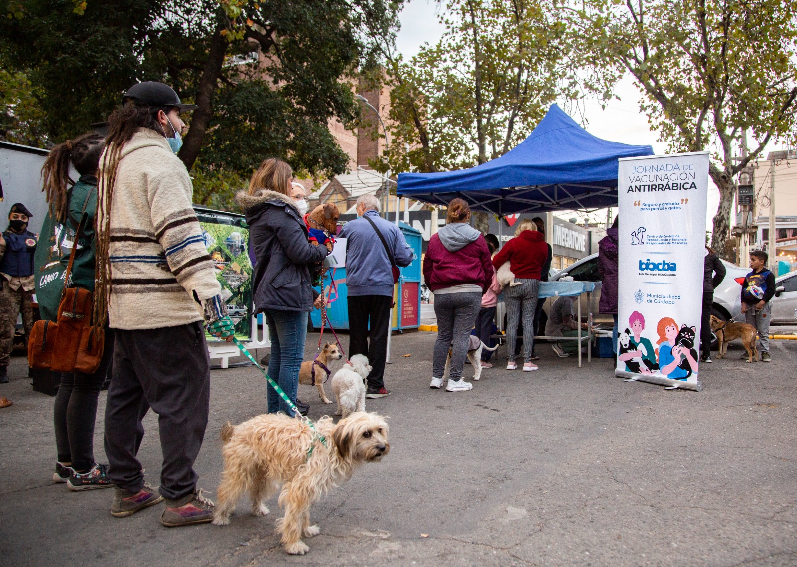 cuando los perros deben vacunarse contra la rabia