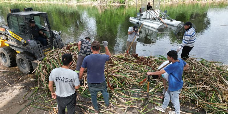 Realizan Trabajos De Saneamiento En El Lago Del Parque Sarmiento Para Mejorar La Oxigenación