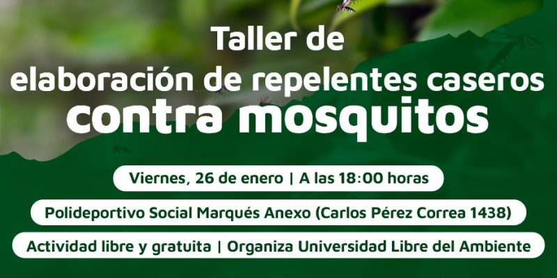 Taller De Elaboración De Repelentes Caseros Contra Los Mosquitos