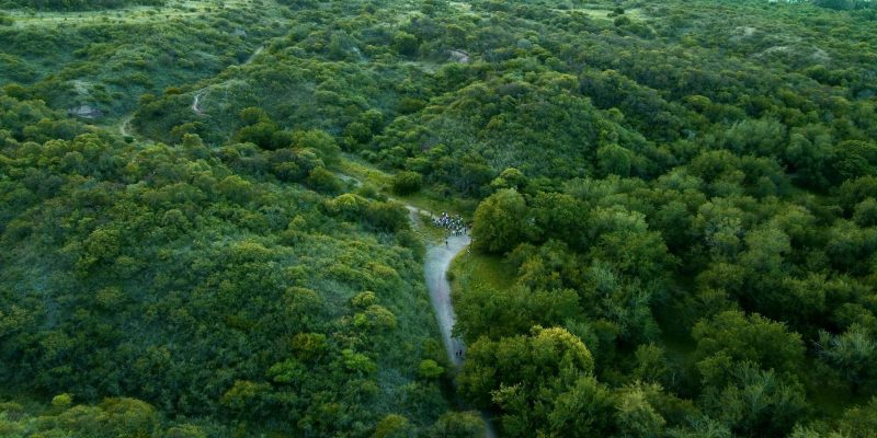 Reserva Urbana San Martín: Un Paseo Por Bosques Nativos A Minutos Del Centro De La Ciudad