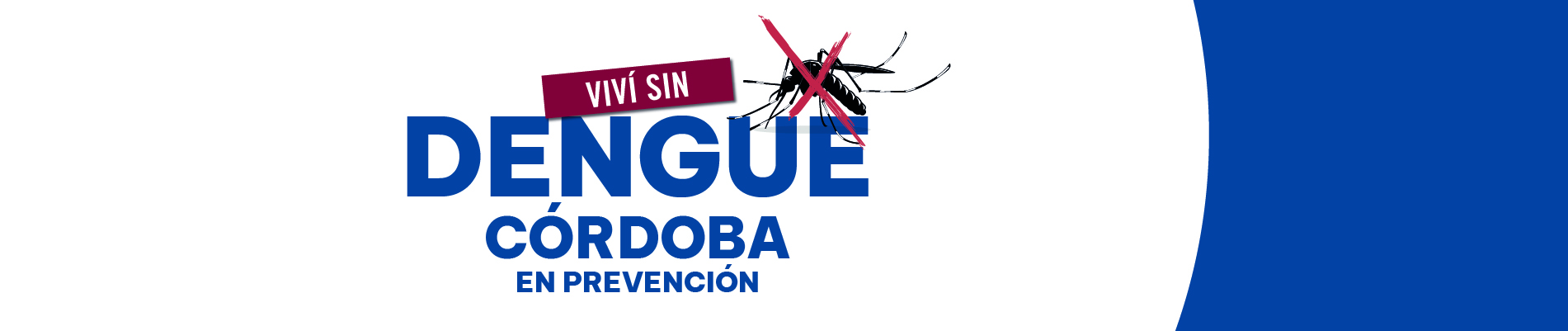 Viví sin Dengue – Córdoba en Prevención