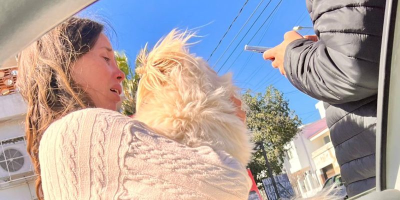 La Guardia Urbana Recuperó El Perro Perdido De Una Vecina En Barrio Parque San Vicente