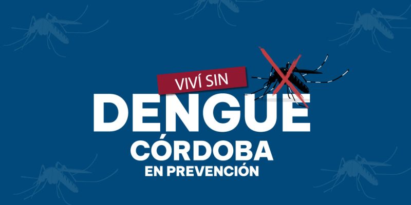 Dengue: Inscripciones Abiertas A Charlas Con Especialistas