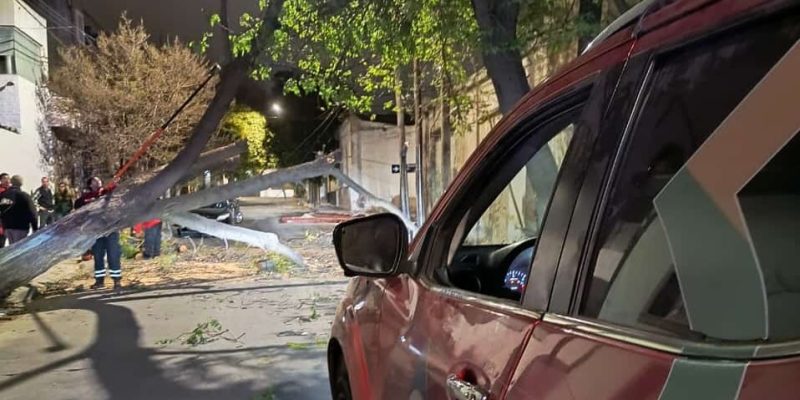 Durante La Madrugada, Diversas áreas Del Municipio Resolvieron Reclamos Por Caídas De árboles Y Postes Tras Las Fuertes Ráfagas De Viento