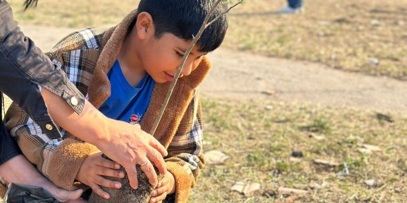 Escuelas Verdes: Por La Semana Del Árbol, Una “escuela Destacada” Forestó La Zona Sudoeste