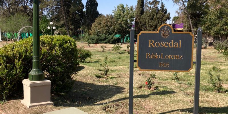 En El Día De La Primavera, Reabren Las Puertas Del “Rosedal” Del Parque Sarmiento