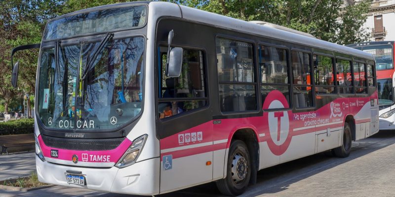 Un Colectivo De Tamse Se Viste De Rosa Para Concientizar Sobre El Cáncer De Mama