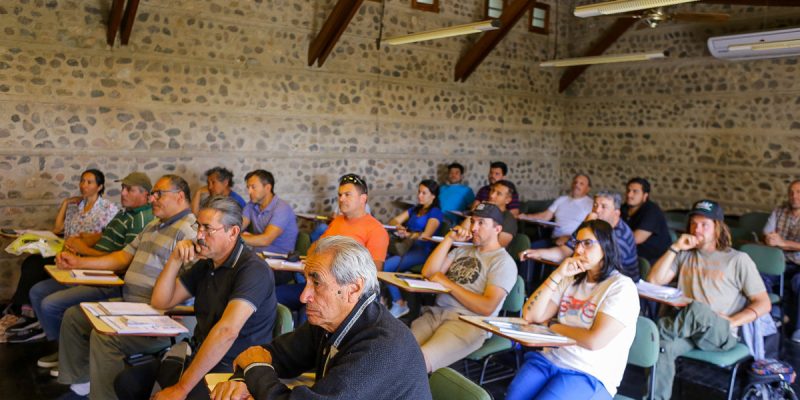 Talleres Y Charlas Para Disfrutar Y Aprender En Primavera En La ULA: Cómo Será La Agenda De Octubre