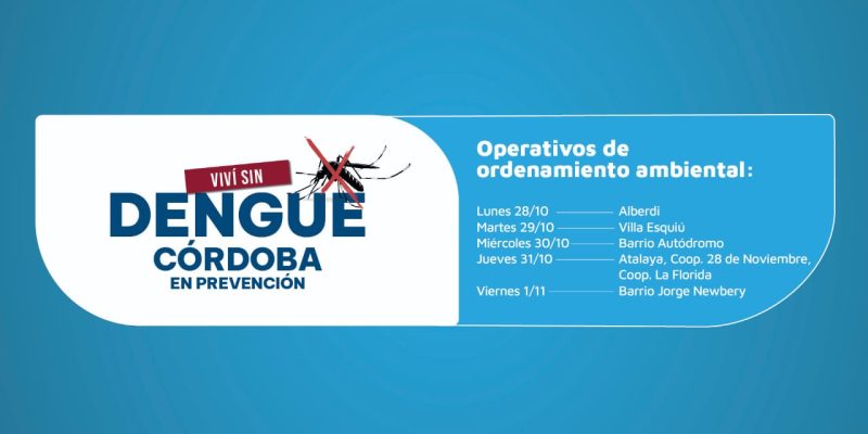 En Dos Meses, Los Operativos Ambientales Recolectaron 179 Toneladas De Desechos En Patios Y Jardines