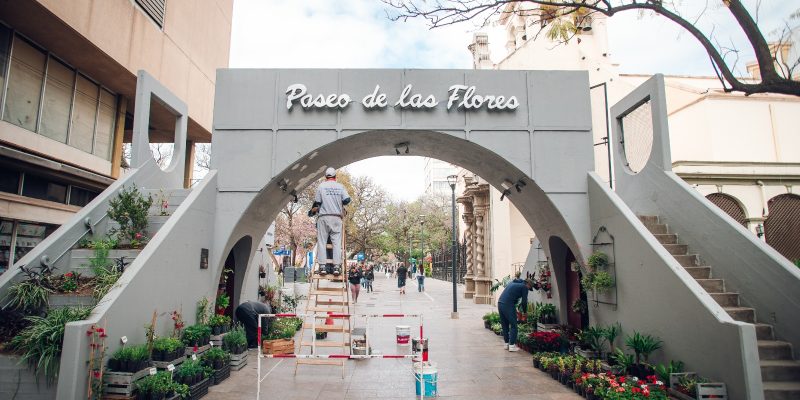 El Paseo De Las Flores Recupera Su Encanto