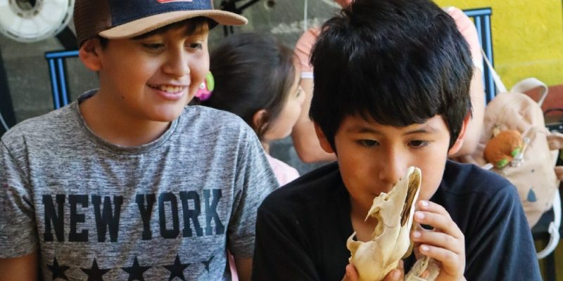 Niños, Niñas Y Jóvenes Disfrutaron De Una Jornada De Expedición Científica En El Parque Educativo Sur