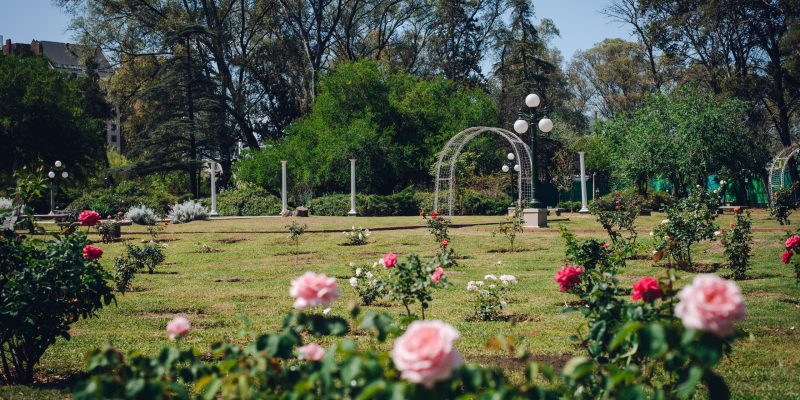 El Rosedal Del Parque Sarmiento: Un Espacio único De Belleza Natural En El Centro De La Ciudad