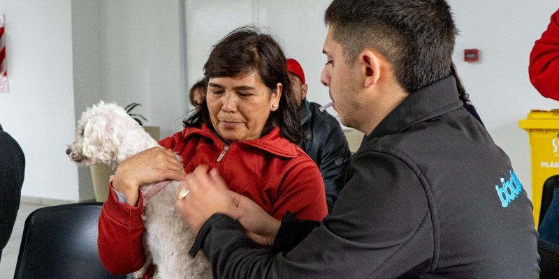 Vacunación Gratuita Contra La Rabia A Perros Y Gatos En El Centro Vecinal Deán Funes Y En El Parque Las Heras-Elisa