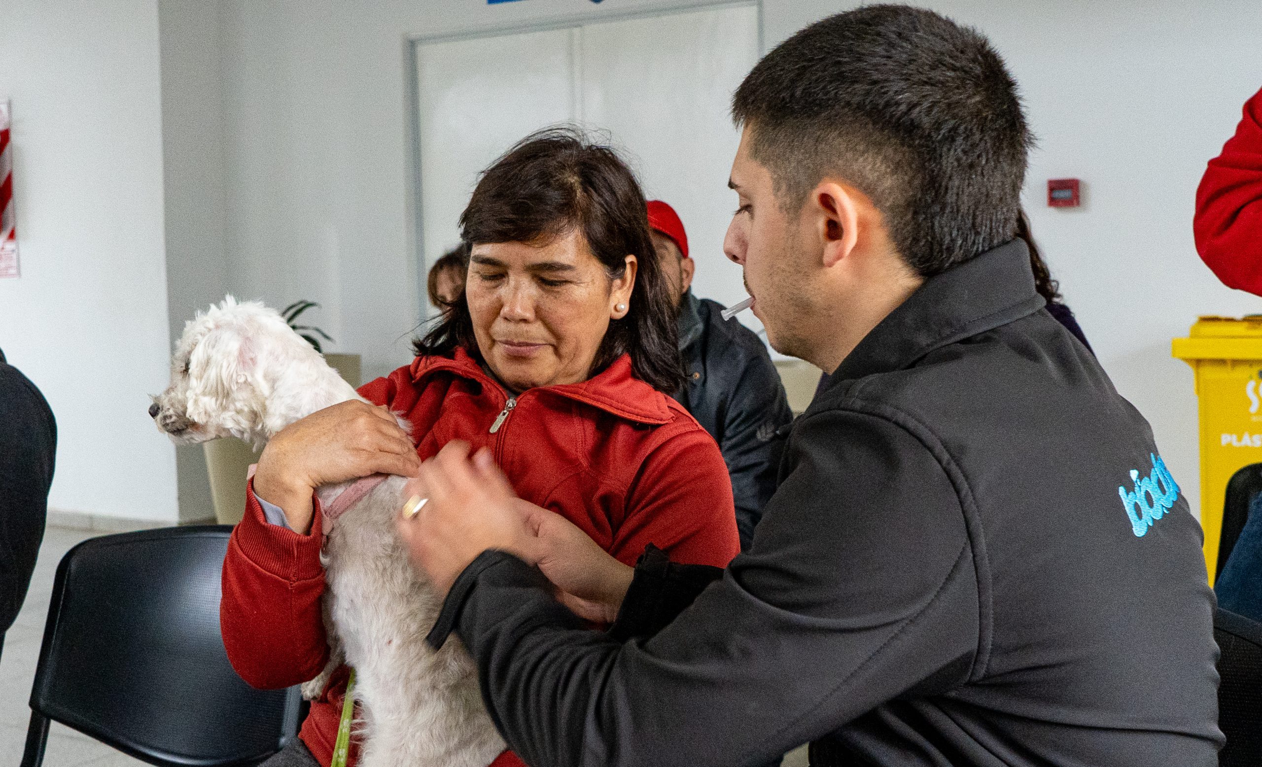 Free vaccination against rabies for dogs and cats at the Deán Funes Neighborhood Center and at Las Heras-Elisa Park < Municipality of Córdoba