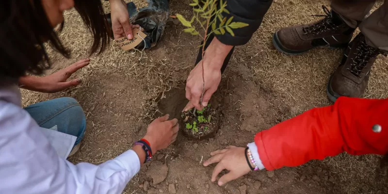 Este Jueves Sumate A La Jornada De Forestación En El Parque Sarmiento