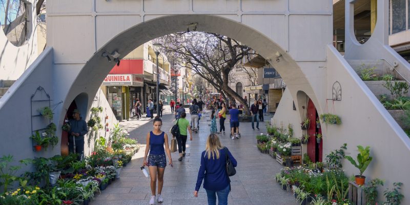 “El Centro De La Navidad”: Fin De Semana Con Destacadas Propuestas En El área Central De La Ciudad