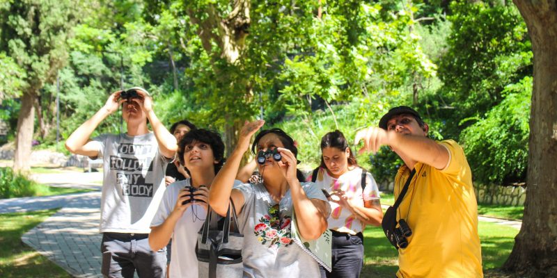 Fotografía Y Avistaje De Aves Y Mariposas En El Parque De La Biodiversidad