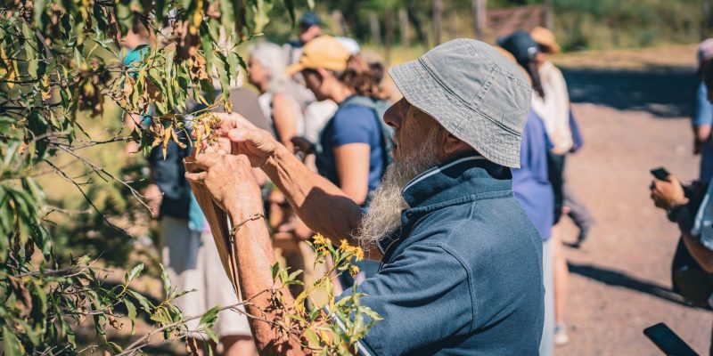 Participá De La Segunda Caminata De Recolección De Semillas En La Reserva Natural Urbana General San Martín