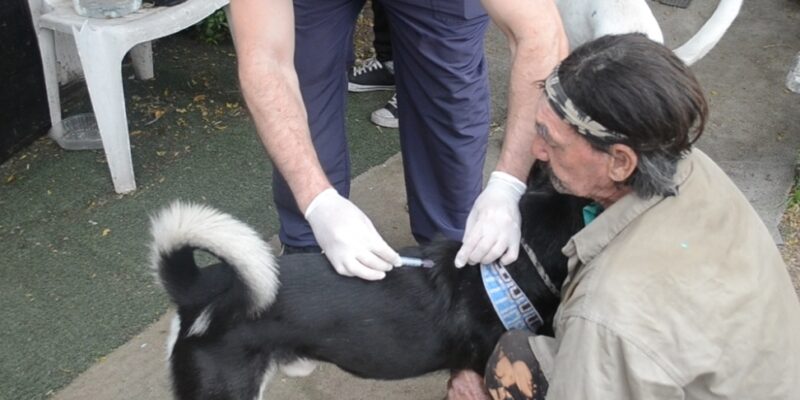 Vacunaron Contra La Rabia A Más De 1800 Animales De Compañía En Tres Meses