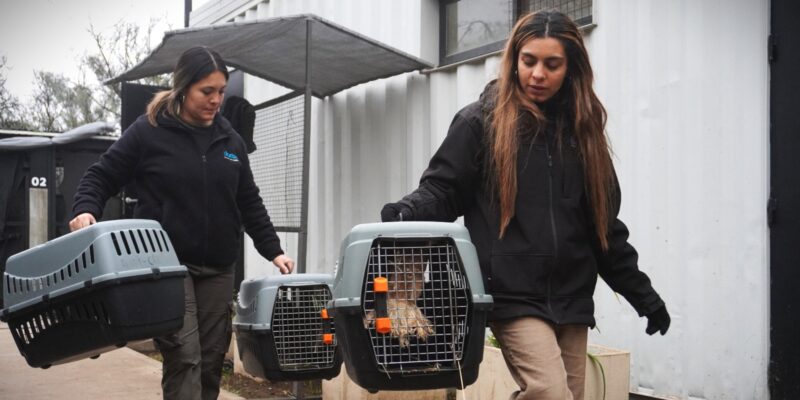 Fueron Liberadas Aves Y Otros Animales Alojados En El Parque De La Biodiversidad