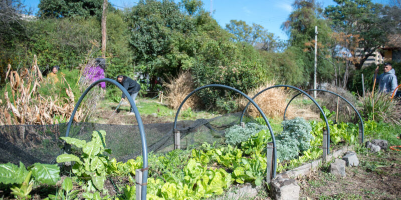 Con Las Huertas Agroecológicas, La Municipalidad Promueve La Comida Sana Y Fortalece La Economía Familiar