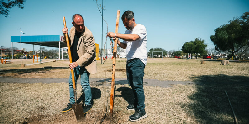 En La Semana Del Árbol, La Municipalidad Sumó 600 Ejemplares Nativos A Las Calles De La Ciudad