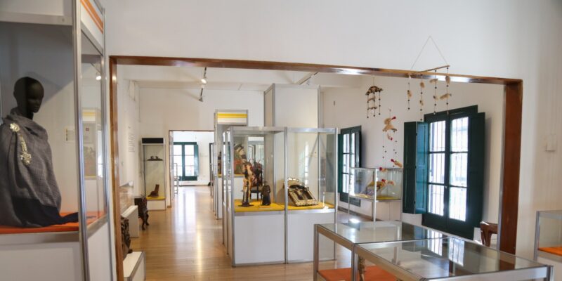 Mes De Las Infancias: Se Inaugura «Dinosaurios En El Museo MIA»