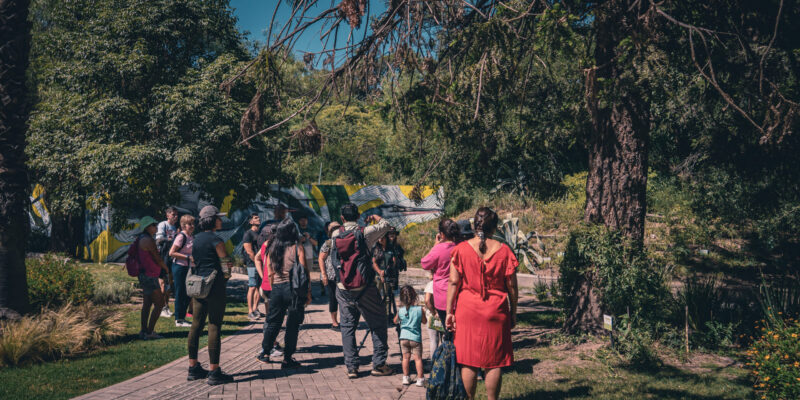 “Voces De La Flora Nativa: Raíces Con Memoria”: Visita Guiada Por El Parque De La Biodiversidad