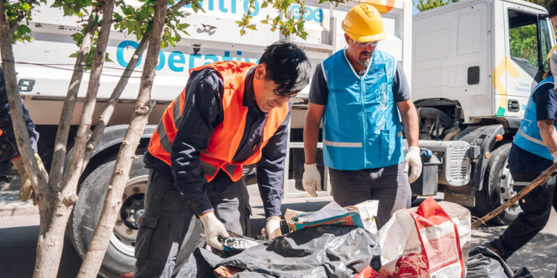 Operativo Ambiental De Prevención Del Dengue: Cronograma De La Semana