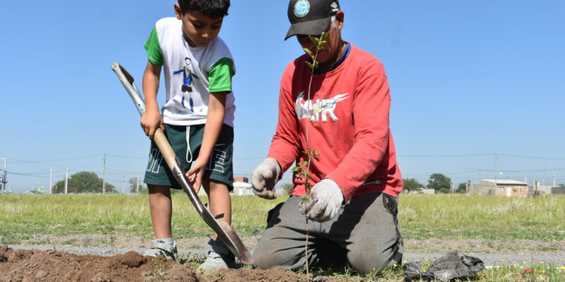Más Verde Urbano: Comenzó La Plantación De 2000 Nuevos árboles Nativos En Ocho Ciudades Del área Metropolitana