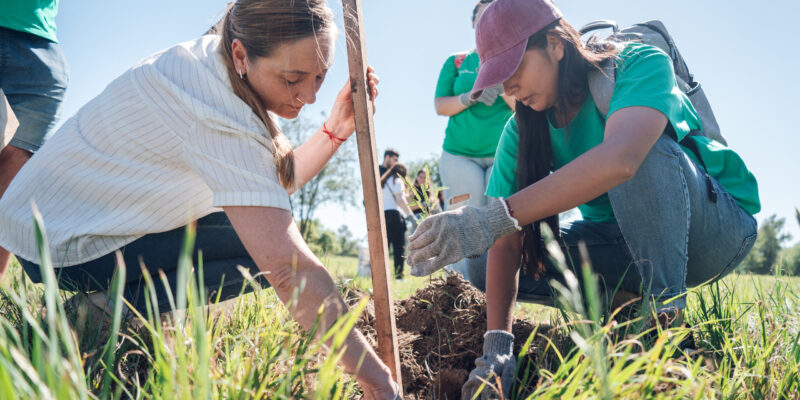 Comenzó La Plantación De Mil árboles Nativos A Orillas Del Río Suquía Y Se Creará Un Microbosque De Más De 60 Mil Metros Cuadrados