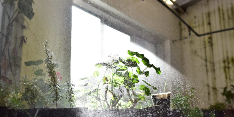 Alerta Amarilla Por Aumento De La Temperatura: Cómo Cuidarse En Casa