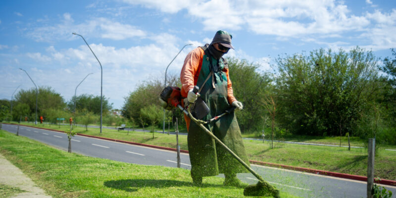 13.01-Desmalezado-5707-scaled-800x400