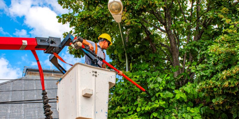 La Municipalidad Refuerza El Mantenimiento Urbano Con Operativos Simultáneos En Distintos Barrios De La Ciudad