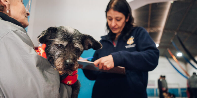Este Viernes Habrá Vacunación Antirrábica Gratuita Para Perros Y Gatos En Barrio Argüello Norte